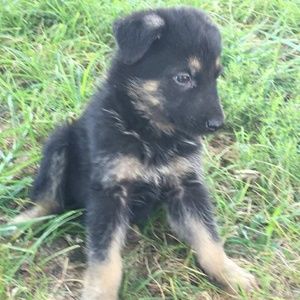 Meet your Posher, Rick